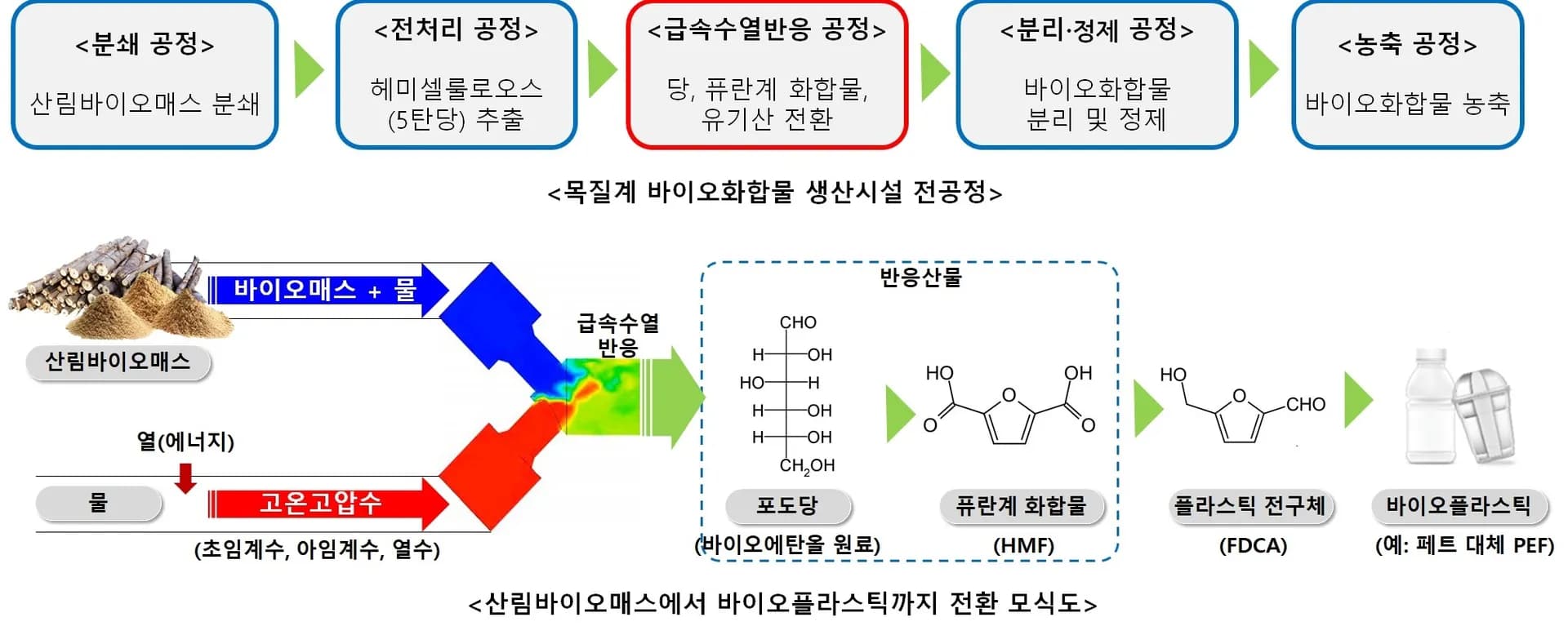 목질계 바이오화합물의 생산시설 전공정 및 전환 모식도, 산림청 제공 4. 목질계 바이오화합물의 생산시설 전공정 및 전환 모식도.jpg