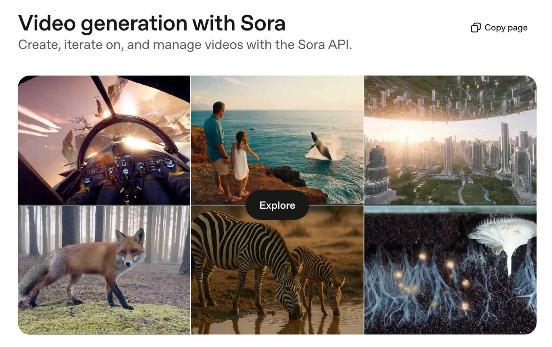 OpenAI 제공 스크린샷 2025-10-08 오후 6.12.28.png